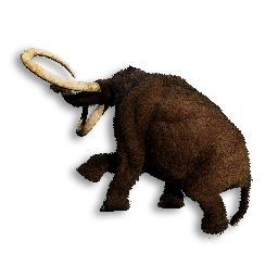 Juvenile Woolly Mammoth