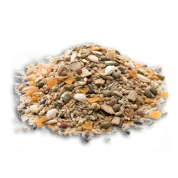 Seed Animal Feed