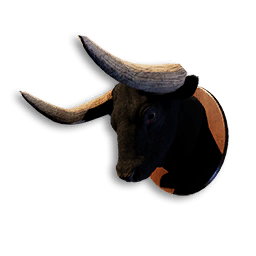 Bull Trophy