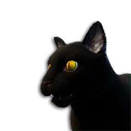 Black Cat Vestige