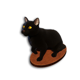 Black Cat Trophy