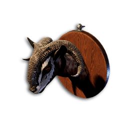 Chala Trophy