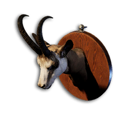 Chamois Trophy