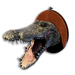 Crocodile Trophy