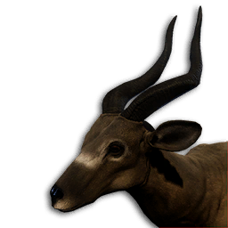 Antelope Vestige