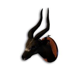 Antelope Trophy