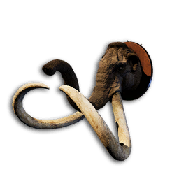 Columbian Mammoth Trophy