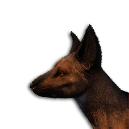 Hyena Vestige