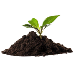 Dirt Mound