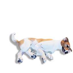 Laika Carcass
