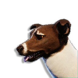 Brown Laika Vestige