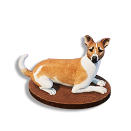 Tan Laika Trophy