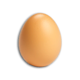 Egg