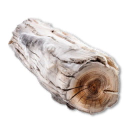 Frozen Wood