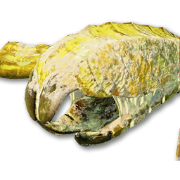 Sulfur Vesper Vestige