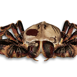 Giant Scorpion Vestige
