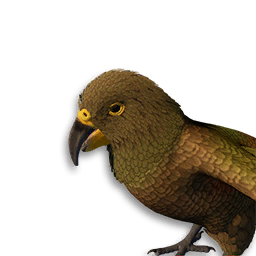 Kea Vestige