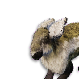 Pygmy Lop Vestige