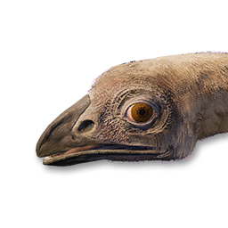 Moa Vestige