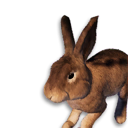 Rabbit Vestige
