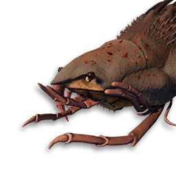 Reaver Vestige