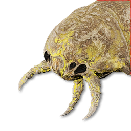 Sulfur Worm Vestige