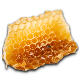 Honeycomb