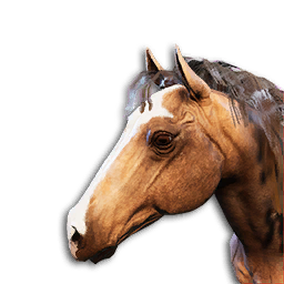 Brown Horse Vestige