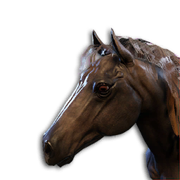 Black Horse Vestige