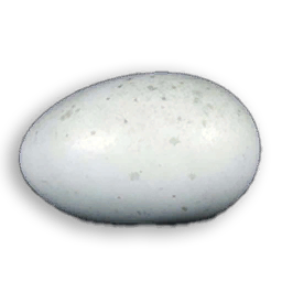 Geneticially Modified Kiwi Egg
