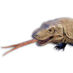 Komodo Vestige