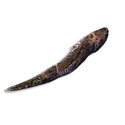 Hardened Horn