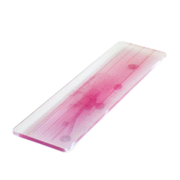 Ruined DNA Sample