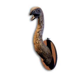Moa Trophy