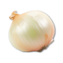 Onion