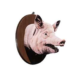 Pig Trophy