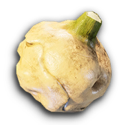 Potato