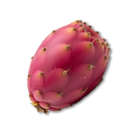 Prickly Pear