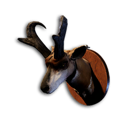Pronghorn Trophy