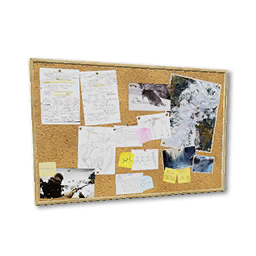 Large Cork board