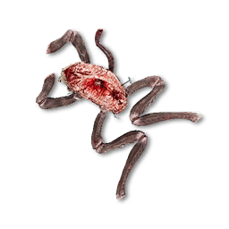 Dissected Creature