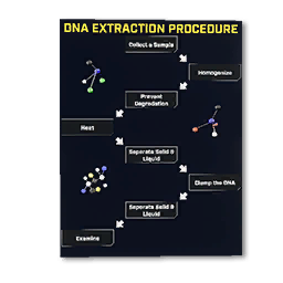 Lab Info Poster