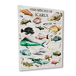 Fish Poster