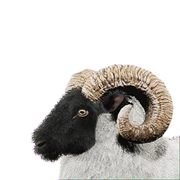 Ram Vestige