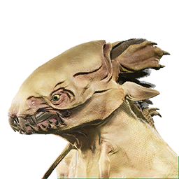 Dune Raptor Vestige