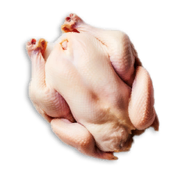 Raw Chicken