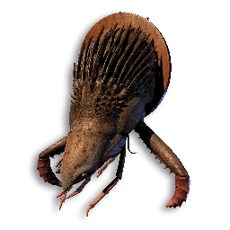 Reaver Trophy