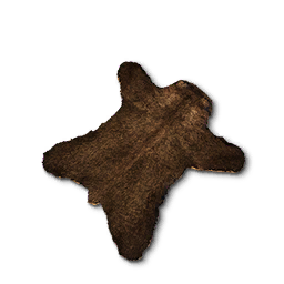 Bear Rug