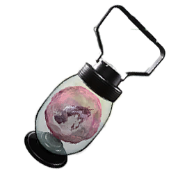 Sandwyrm Queen Lantern