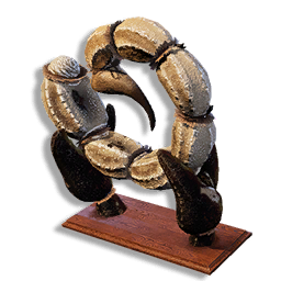 Scorpion Tail Trophy